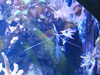 20190824103754-DSCN0122.JPG