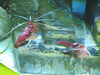20190824103926-DSCN0133.JPG