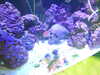 20190824104010-DSCN0139.JPG