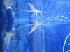 20190824104132-DSCN0143.JPG