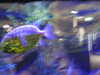 20190824104140-DSCN0144.JPG