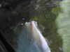 20190824105445-DSCN0170.JPG