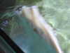 20190824105449-DSCN0171.JPG