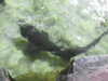 20190824105602-DSCN0178.JPG