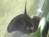 20190824105636-DSCN0181.JPG