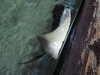 20190824105642-DSCN0182.JPG