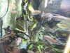 20190824113629-DSCN0244.JPG