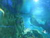 20190824113859-DSCN0255.JPG