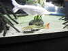 20190824114001-DSCN0262.JPG