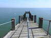 20190824130719-DSCN0311.JPG