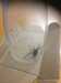 2019-09-03:big-spider
