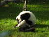 2019-09-16:Zooparc-Beauval
