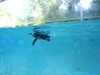 20190916083746-DSCN0396.JPG