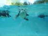 20190916083838-DSCN0401.JPG
