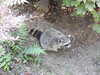 20190916090350-DSCN0439.JPG