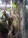 20190916112118-DSCN0689.JPG