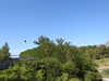 20190916140502-DSCN0821.JPG