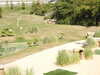 20190916141312-DSCN0865.JPG