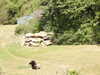 20190916141435-DSCN0873.JPG