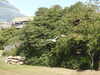 20190916141552-DSCN0880.JPG