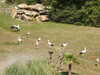 20190916142340-DSCN0939.JPG