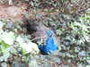 20190916160106-DSCN1064.JPG