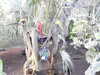20190916160829-DSCN1077.JPG