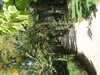 20190920121610-DSCF4962.JPG