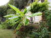 20190924150136-DSCN1367.JPG