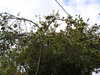 20190925104854-DSCN1452.JPG
