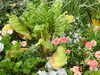 20190926102106-DSCN1517.JPG