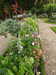 20190926102135-DSCN1519.JPG