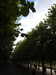 20190926102357-DSCN1526.JPG