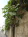 20190926104103-DSCN1549.JPG