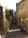20190926104744-DSCN1552.JPG