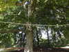 20190927095556-DSCN1619.JPG