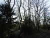 20191225111126-DSCN1870.JPG