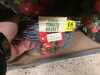 2020-01-20:TomatoBasket
