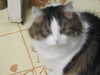 2020-02-28:Felicity
