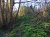 20200326163804-Photo_26-03-2020,_16_38_04.jpg