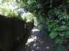 2020-04-22:Chislehurst Walk Vicar
