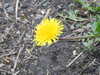 20200422152653-DSCN2017.JPG