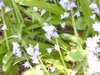 20200422152717-DSCN2018.JPG