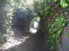 20200422153159-DSCN2020.JPG