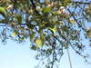 20200422153422-DSCN2022.JPG