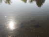 20200422154406-DSCN2024.JPG