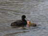 20200422154448-DSCN2026.JPG