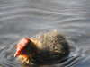 20200422154539-DSCN2031.JPG