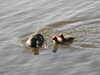 20200422154707-DSCN2042.JPG