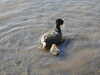 20200422154715-DSCN2043.JPG